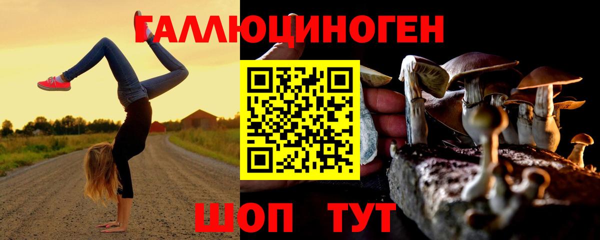 Галлюциногенные грибы MAGIC MUSHROOMS  Вход с VPN  Киселёвск 